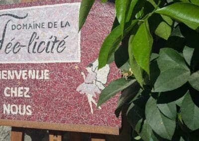 Bienvenue au Domaine de la Fée-Licité